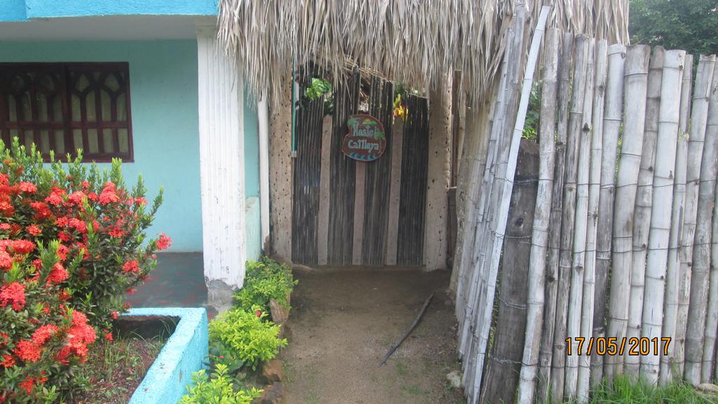 Hostel Cattleya Palomino Exterior photo