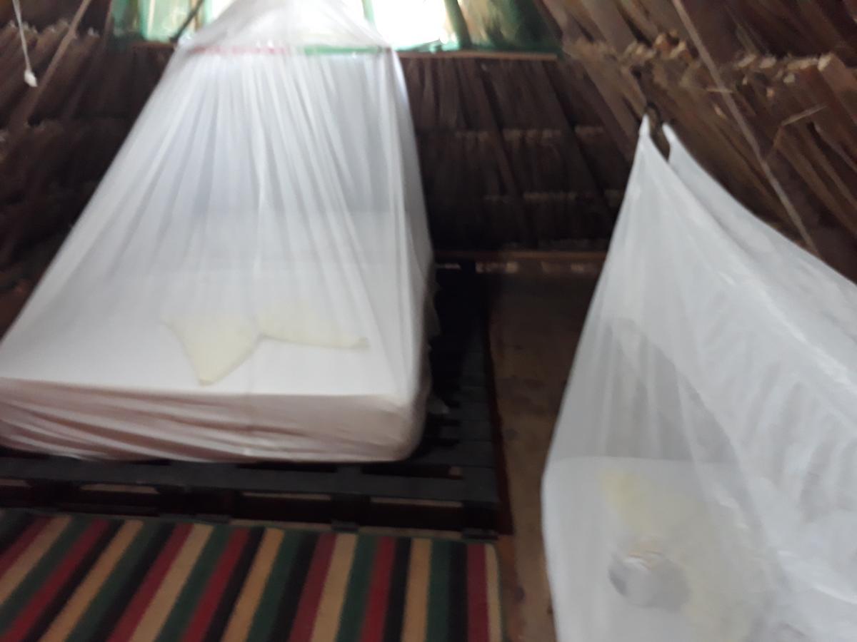Hostel Cattleya Palomino Exterior photo